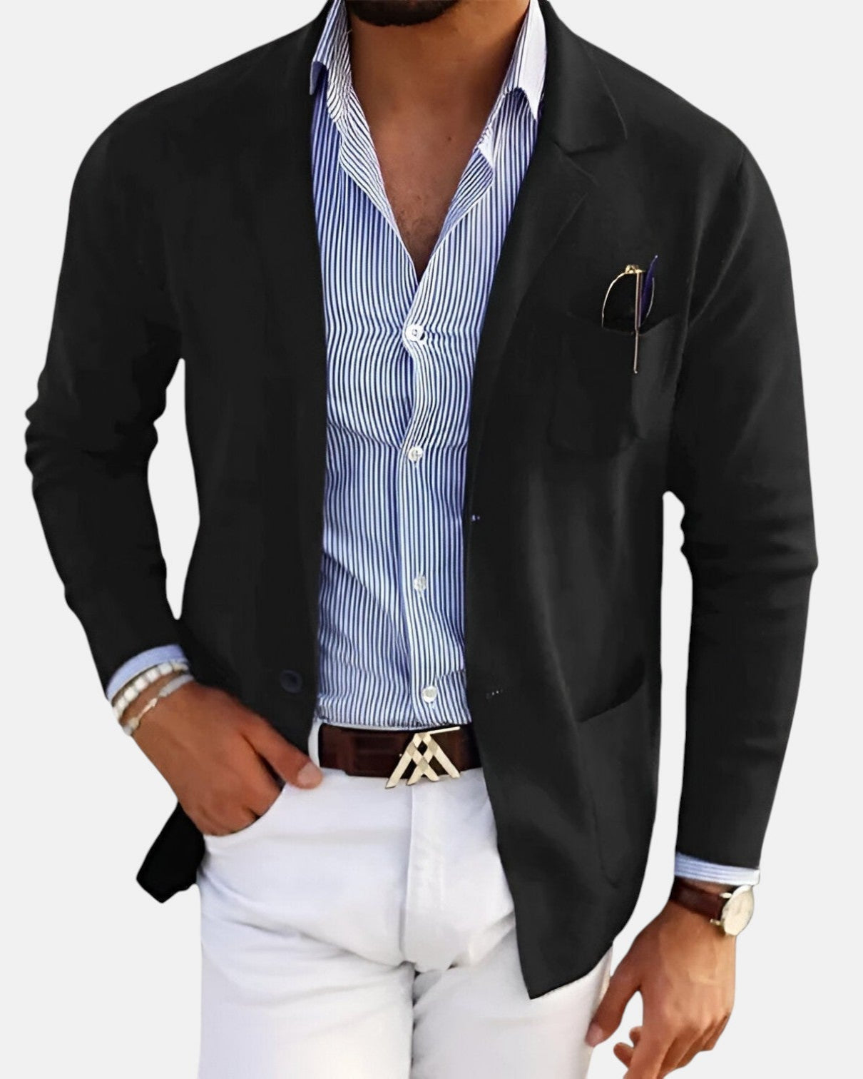 ALESSANDRO - Chaqueta casual de temporada
